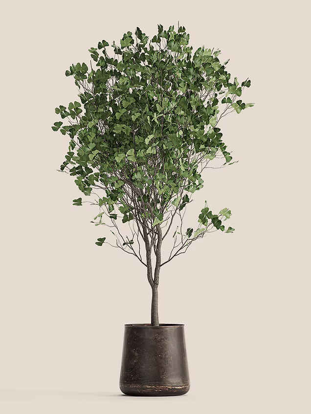 design-img6
